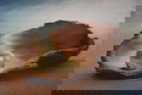 Lecture Cancelled  ADFAS  Lecture Half-Day - Patricia Law speaking on Pearls and Diamonds