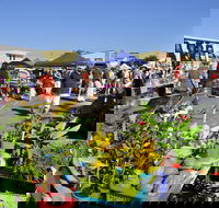 Maclean Community Monthly Markets - Go Out