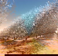 Mallee Almond Blossom Festival - Pubs and Clubs