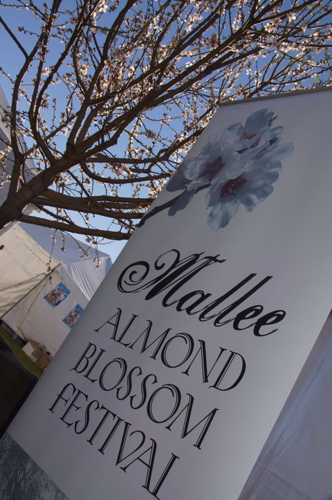 Mallee Almond Blossom Festival - Pubs and Clubs 1