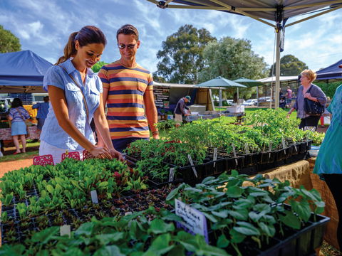 Margaret River Farmers Market - Pubs and Clubs 1
