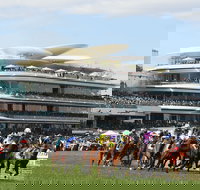 Melbourne Cup Carnival - Pubs and Clubs
