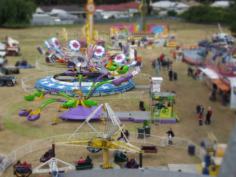 Millicent Agricultural And Horticultural Show - Pubs and Clubs 0