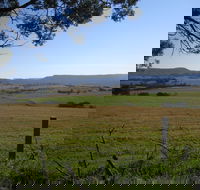 Milton Village Showground Markets - Pubs and Clubs