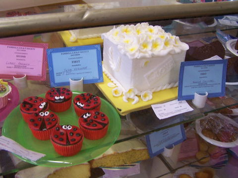 Pambula Show - Go Out 2