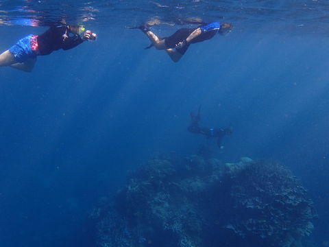 Project Manta Ningaloo Reef, Western Australia - Pubs and Clubs 1
