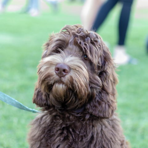 Ripley Markets - Pubs and Clubs 1