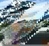 Salvador Dali Sculpture Exhibition - Pubs and Clubs