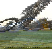 SculptureShaw - Go Out