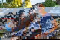 Stanthorpe Apple and Grape Harvest Festival