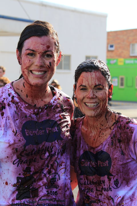 Stanthorpe Apple And Grape Harvest Festival - Pubs and Clubs 1