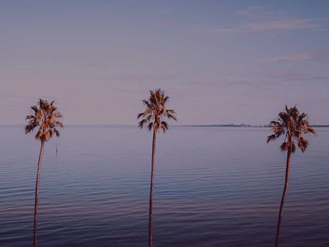 Sunset Streaming Live DJ Streams - Pubs and Clubs 0