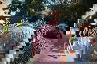 The Big Picture Fest Newcastle