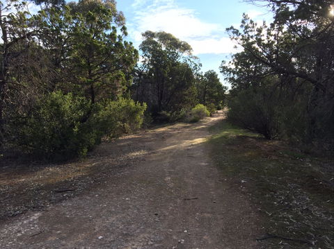 Victoria Park Moonta Monthly Walks - Go Out 0