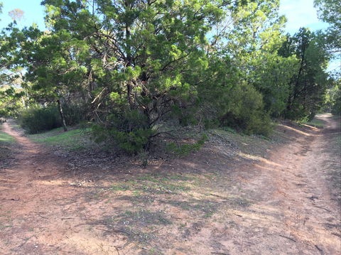 Victoria Park Moonta Monthly Walks - Go Out 1
