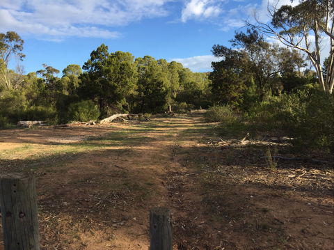 Victoria Park Moonta Monthly Walks - Go Out 2