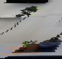 Wauchope Bonsai Workshop Group - Pubs and Clubs