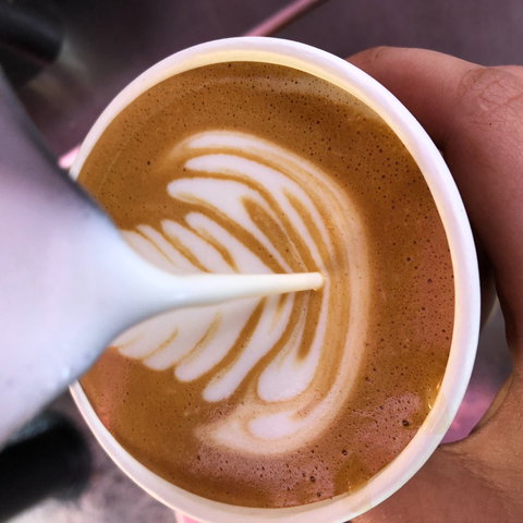 Yamba Farmers And Producers Market - Go Out 2