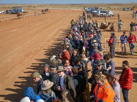 28th Marree Australasian CAMEL CUP 3 July 2021 - Go Out 0