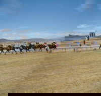 Adaminaby Cup Race Day - Go Out
