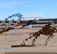 Bedourie Camel and Pig Races and Camp oven Cook-off - Pubs and Clubs