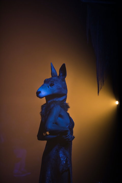 Bleach* Festival - Pubs and Clubs 1