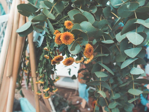 Boho Luxe Market - Adelaide - Go Out 1