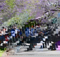 Celtic Festival of Queensland - Pubs and Clubs