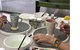 Ceramic Painting Class - thumb 0