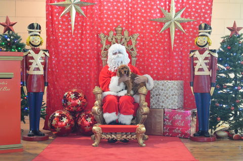 Community Christmas Party And Carols By Candlelight - Go Out 2