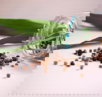 Cooking with Australian Indigenous Spices cooking class - Pubs and Clubs