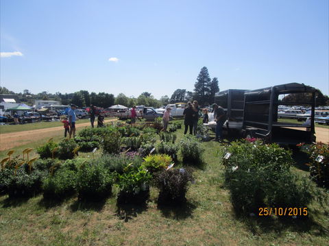 Crookwell Rotary Swap Meet And Market Day - Pubs and Clubs 1