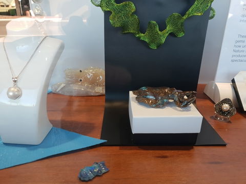 Cuttlefish Art Trail - Cuttlefest 2020 - Go Out 1