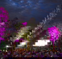 Fleurieu Film Festival - Pubs and Clubs