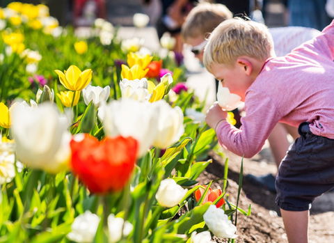 Floriade: Reimagined - Go Out 1