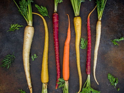 Food For Good Festival - Pubs and Clubs 0