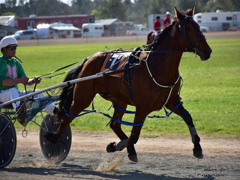 Forbes Show - Pubs and Clubs 0