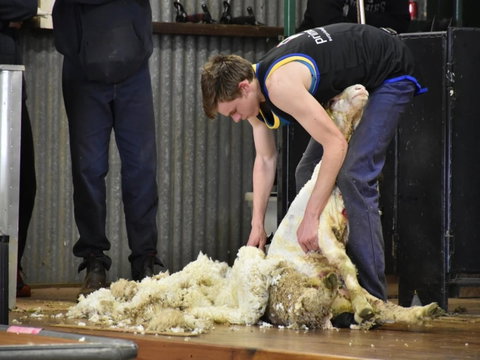 Forbes Show - Pubs and Clubs 1