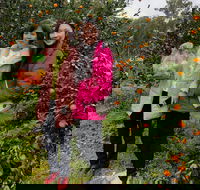 Fruit Taste Adventure Tours - Go Out