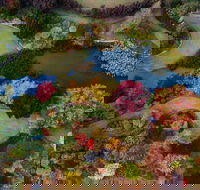 Glenrock Gardens Open Garden - Pubs and Clubs