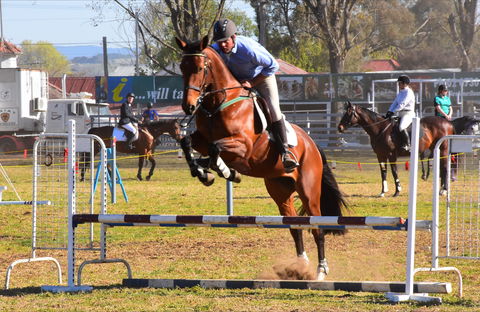 Glen Innes Pastoral And Agricultural Show - Go Out 0