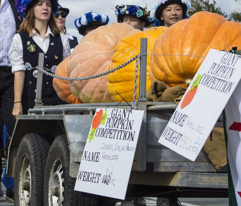 Goomeri Pumpkin Festival - Pubs and Clubs 2