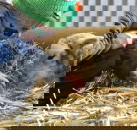 Horsham Agricultural Show - Pubs and Clubs