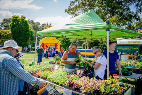 Huskisson Market - Pubs and Clubs 0