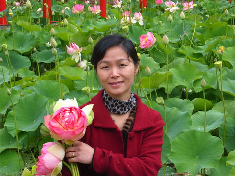 Lotus Flower Season - Go Out 1