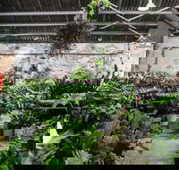 Newcastle - Huge Indoor Plant Warehouse Sale - Christmas Bonanza - Pubs and Clubs