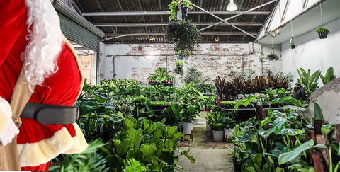 Newcastle - Huge Indoor Plant Warehouse Sale - Christmas Bonanza - Pubs and Clubs 0