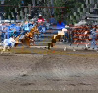 North Queensland Elite Rodeo - Pubs and Clubs