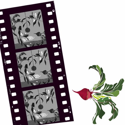 Oseanica Film Project - Pubs and Clubs 0