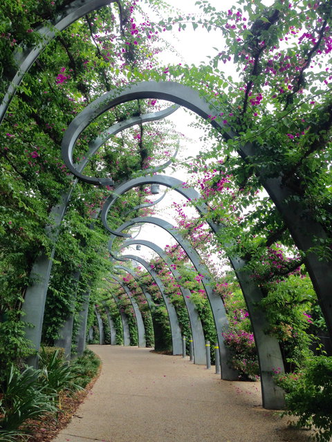 Photography Class / Tour Of Brisbane - Go Out 0